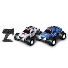 Hot Style R/C Plastic Shell Massive Truck