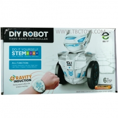 RC robot