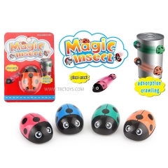 Magnetic toys